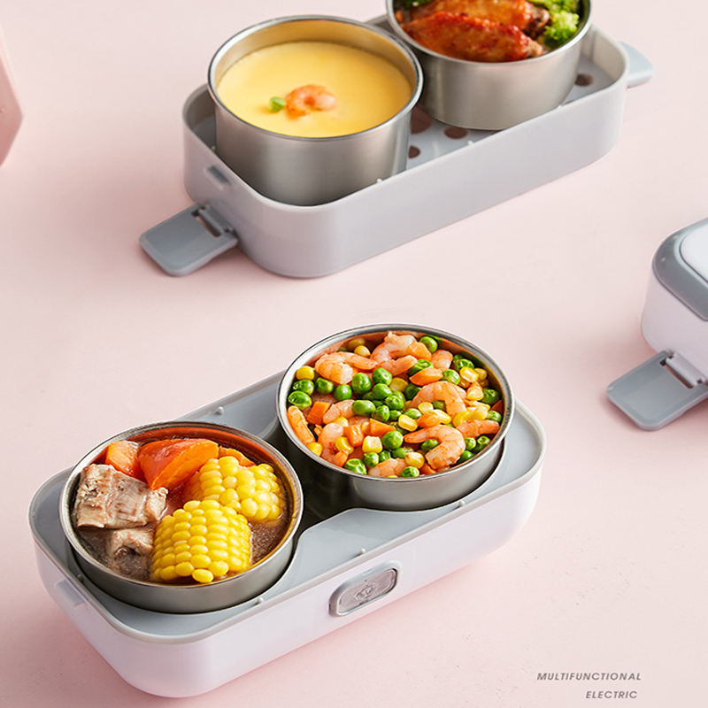 Portable Self Cooking Electric Lunch Box, 2L Mini Rice Cooker, 2 Layers 4 Stainless Steel Steamer Food Insulation Lunch Box for Home Office School Travel Kitchen Cook Raw Food, 110V/250-300W